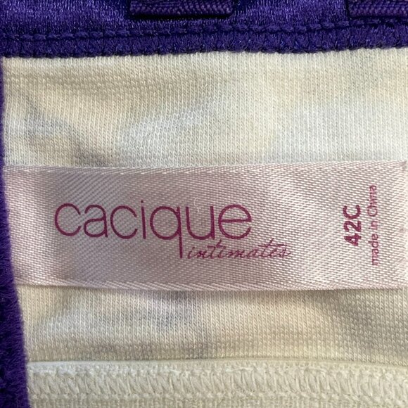 Cacique Intimates Bra 42C Lined Underwired Paisley - Picture 5 of 6